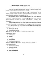 Biznesa plāns 'Ārējās vides analīze', 5.