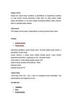 Referāts 'Datora uzbūve', 6.