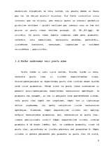 Referāts 'Preču zīmes ietekme uz patērētāju izvēli', 9.