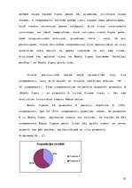 Referāts 'Preču zīmes ietekme uz patērētāju izvēli', 20.