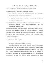 Referāts 'Preču zīmes ietekme uz patērētāju izvēli', 21.