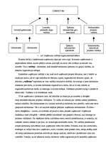 Prakses atskaite 'Sabiedrisko attiecību studenta prakses atskaite', 4.