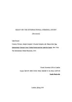 Eseja 'Essay on the International Criminal Court ', 1.
