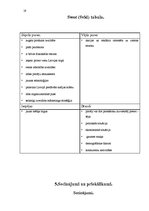 Referāts 'Tirgus izpēte kafijai "Merrild"', 19.