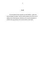 Referāts 'Saules ietekme uz organismu', 3.