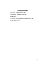 Referāts 'Bērna socializācija ģimenē', 13.