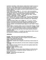 Konspekts 'Senās Grieķijas kultūra', 10.