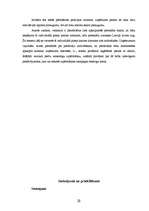 Referāts 'Stratēģiskā mārketinga specifika un pielietojums praksē veikalu tīklā "Boheme"', 30.