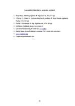 Referāts 'Stratēģiskā mārketinga specifika un pielietojums praksē veikalu tīklā "Boheme"', 33.