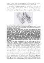 Referāts 'Ekotūrisma kritēriji Vecpiebalgas pagastā', 6.