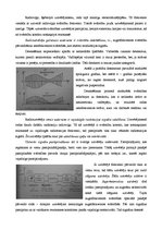 Konspekts 'Elektromagnētiskie viļņi', 2.