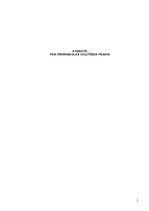 Prakses atskaite 'Atskaite par pirmsskolas izglītības praksi', 1.