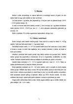 Referāts 'Medus un tā piejaukumi', 5.