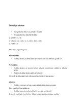 Konspekts 'Īss konspekts par svarīgāko latviešu valodā', 7.