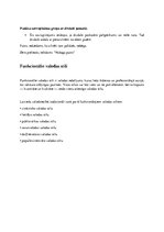 Konspekts 'Īss konspekts par svarīgāko latviešu valodā', 8.