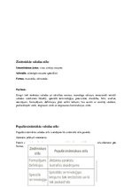 Konspekts 'Īss konspekts par svarīgāko latviešu valodā', 9.