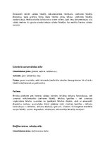 Konspekts 'Īss konspekts par svarīgāko latviešu valodā', 11.