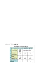 Konspekts 'Īss konspekts par svarīgāko latviešu valodā', 15.