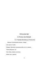 Referāts 'Tūrisma taka Jēkabpilī', 29.