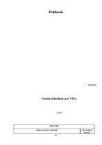 Referāts 'Tūrisma taka Jēkabpilī', 41.