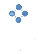 Referāts 'Tūrisma taka Jēkabpilī', 45.