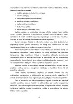 Diplomdarbs 'Personālvadības procesa analīze un tās pilnveidošanas iespējas uzņēmumā "Uzņēmum', 22.