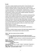 Referāts 'Diskriminācija', 4.