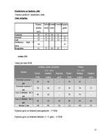 Referāts 'Latvijas viesnīcu nozares apraksts', 13.