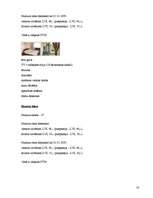 Referāts 'Latvijas viesnīcu nozares apraksts', 18.