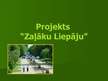 Prezentācija 'Projekts "Zaļāku Liepāju"', 1.
