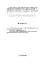 Referāts 'Garšvielas kā ēdiena sastāvdaļa', 6.