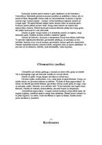 Referāts 'Garšvielas kā ēdiena sastāvdaļa', 10.