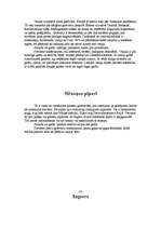 Referāts 'Garšvielas kā ēdiena sastāvdaļa', 20.