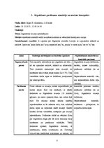 Prakses atskaite 'Vizuālās mākslas un klases audzinātāja darbības prakses atskaite', 8.