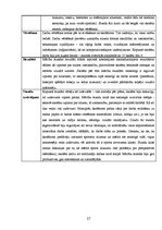 Prakses atskaite 'Vizuālās mākslas un klases audzinātāja darbības prakses atskaite', 27.