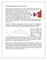 Prezentācija 'Global Warming', 14.