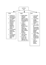 Konspekts 'Krusta kari', 3.