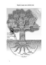 Konspekts 'Runas attīstība bērniem', 7.