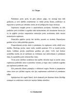 Biznesa plāns 'Biznesa plāns', 9.