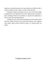 Biznesa plāns 'Biznesa plāns', 10.