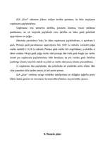 Biznesa plāns 'Biznesa plāns', 13.