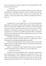 Referāts 'Stress darba vietā un tā samazināšanas iespējas uzņēmumā SIA "O"', 9.