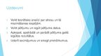 Referāts 'Stress darba vietā un tā samazināšanas iespējas uzņēmumā SIA "O"', 28.