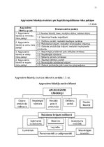 Referāts 'Apgrozāmais kapitāls un apgrozāmie līdzekļi uzņēmējdarbībā', 11.