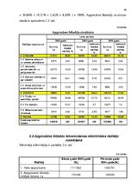 Referāts 'Apgrozāmais kapitāls un apgrozāmie līdzekļi uzņēmējdarbībā', 28.