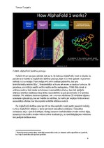 Eseja 'Alpha Fold- olbaltumvielu locīšana, izmantojot jaunākās tehnoloģijas', 4.