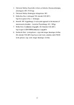 Referāts 'Reitterapijas ietekme uz cilvēka fizisko attīstību', 17.