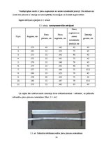Referāts 'Regbija trenažiera projekts', 14.