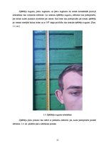 Referāts 'Regbija trenažiera projekts', 15.