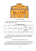 Referāts 'Regbija trenažiera projekts', 16.